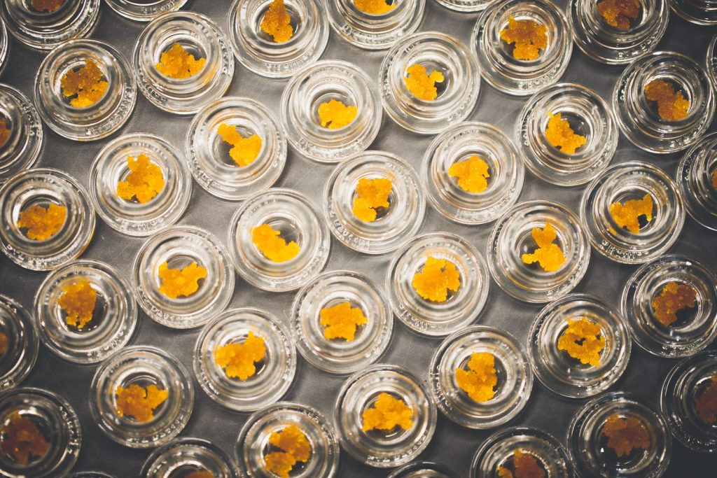 CBD:THC 1:1 tincture, 30 ml